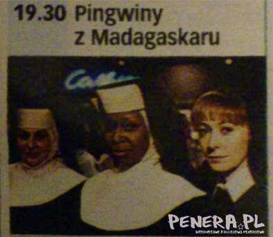 Pingwiny z Madagaskaru Pingwiny z Madagaskaru