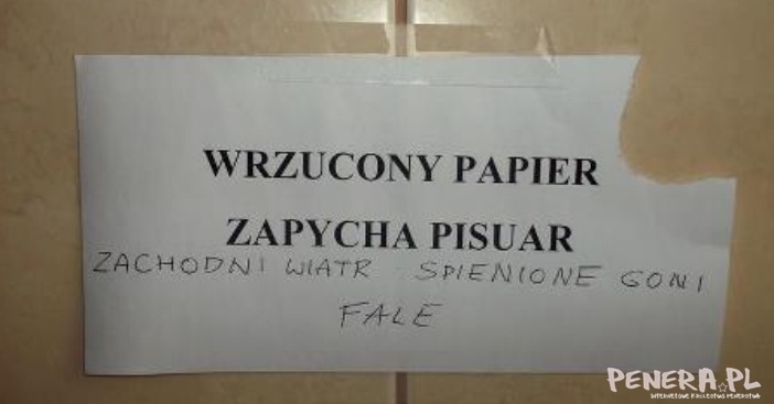 Wrzucony papier zapycha pisuar Wrzucony papier zapycha pisuar
