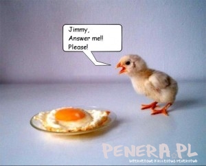 Odpowiedz mi!