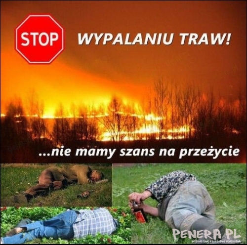 Stop Wypalaniu traw Stop Wypalaniu traw