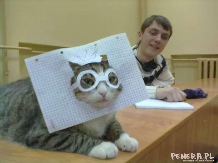 Zastanawiam się kto tu dziwniej wygląda Zastanawiam się kto tu dziwniej wygląda