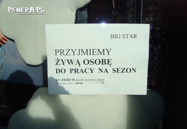 Żywa osoba do pracy pilnie poszukiwana Żywa osoba do pracy pilnie poszukiwana