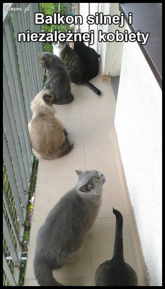 Balkon silnej i niezależnej kobiety