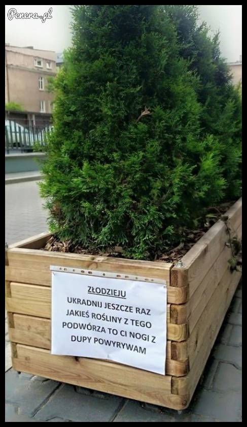 Bezpośrednia informacja dla złodzieja