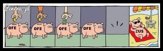 Co się stało z kasą z OFE