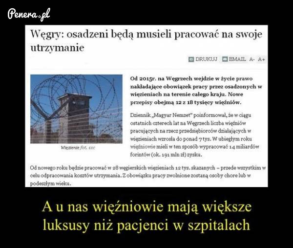 Dlaczego u nas więźniowie nie wezmą się do roboty