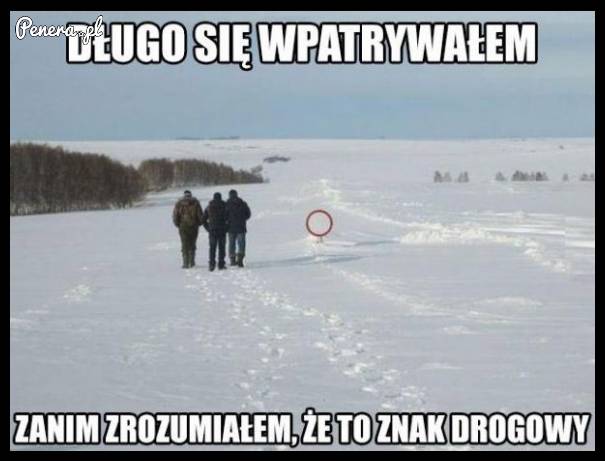 Długo się wpatrywałem zanim zrozumiałem