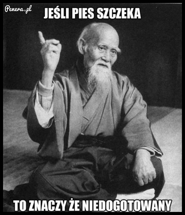 Jeśli pies szczeka