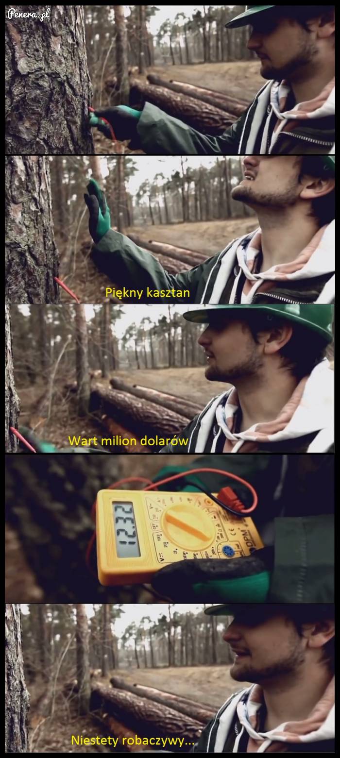 Kasztan wart milion dolarów