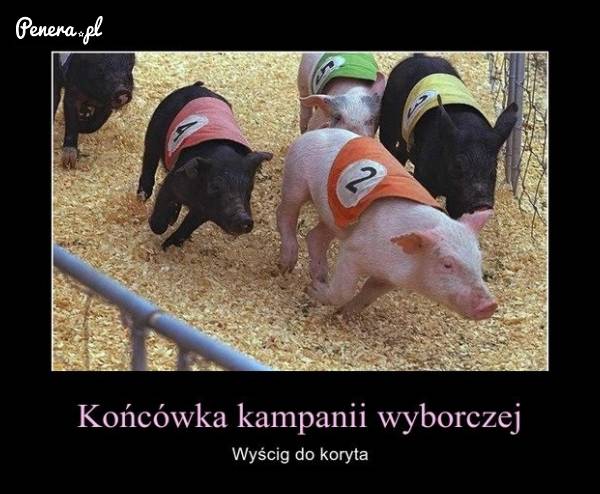Końcówka kampanii wyborczej!