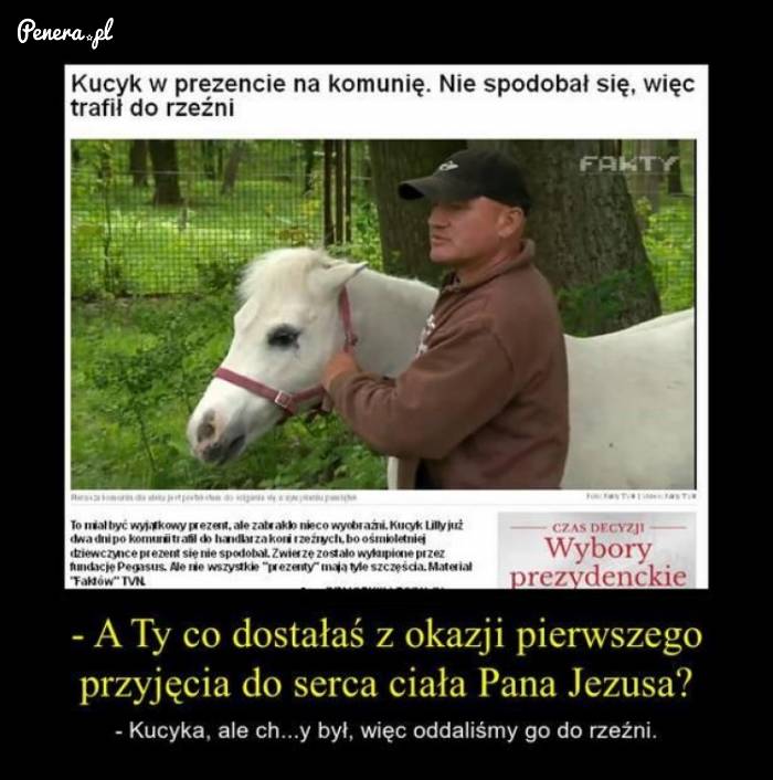 Kucyk jako nietrafiony prezent na komunię