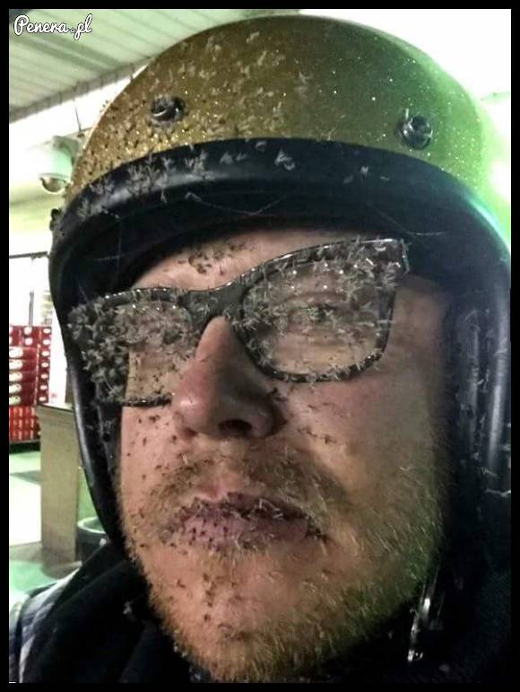 Motocyklista po podwieczorku