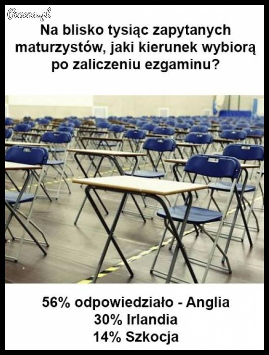 Najpopularniejsze kierunki po studiach