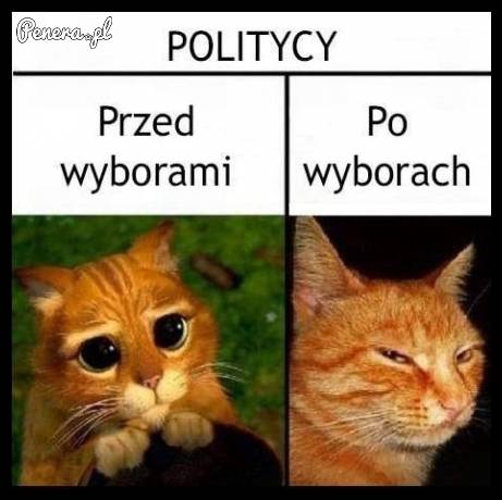 Politycy przed wyborami i po wyborach