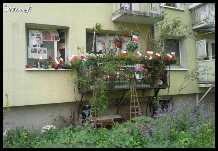 Polski ołtarz wyborczy