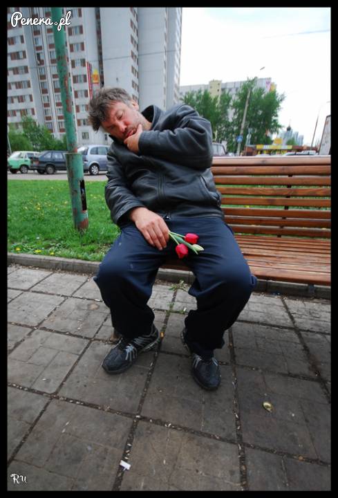 Prawdziwy romantyk w drodze do ukochanej