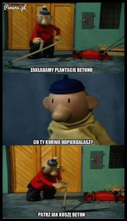 Sąsiedzi założyli plantację betonu