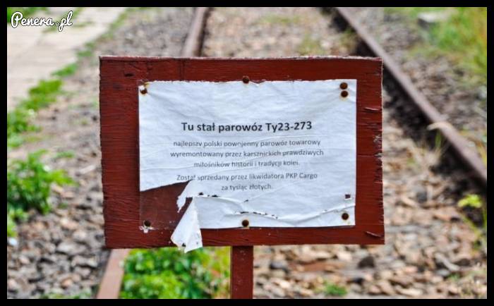 Syndyk wszystko sprzeda