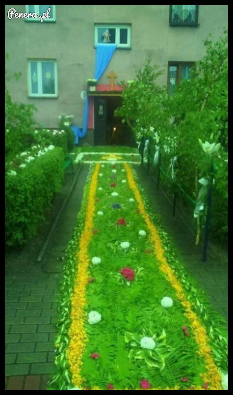 Tak się przyjmuje księdza!