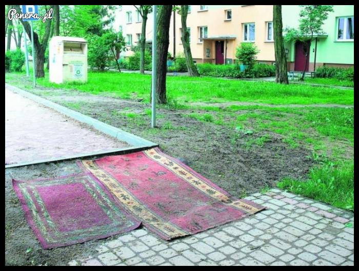 Takie dywany są już u nas Takie dywany są już u nas