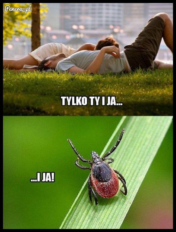 Tylko Ty i ja