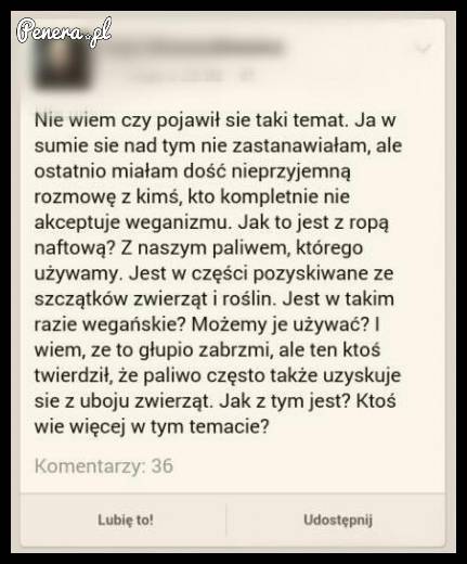 Weganka i jej problem z paliwem