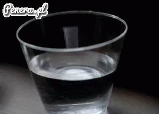 Wykrywacz feministek