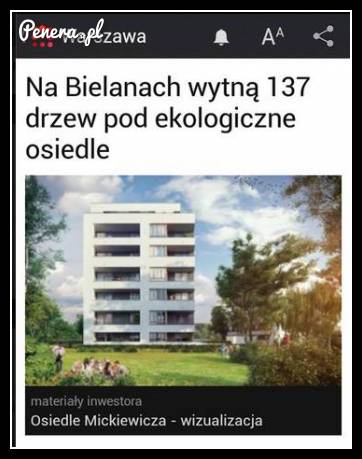 Wytną drzewa żeby postawić eko osiedle