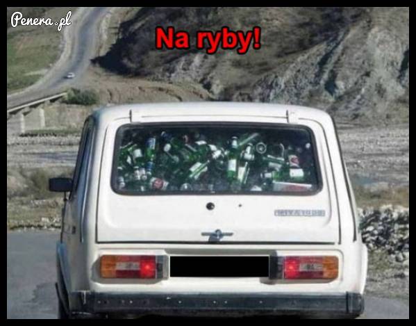 A na ryby jeżdżę TAK