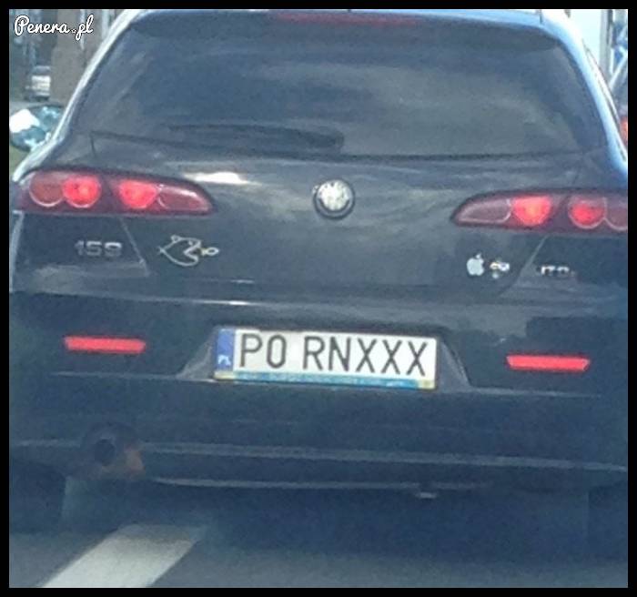 Amator stron dla dorosłych