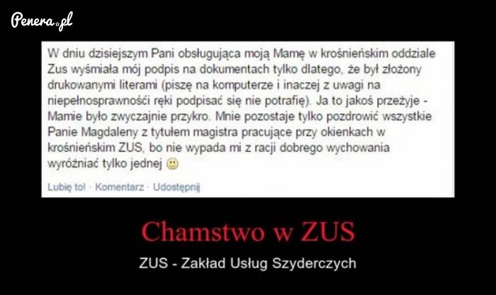 Chamówa w ZUSie