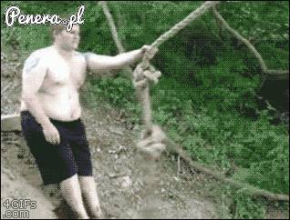 Coś grubemu nie wyszło na tym tarzanie :D