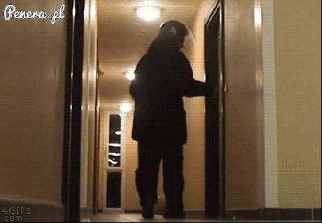 Czy ktoś tu zamawiał pizzę?