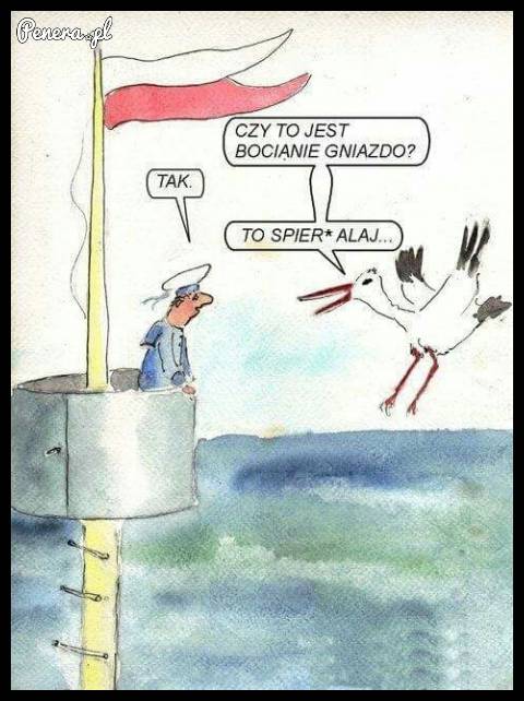 Czy to bocianie gniazdo