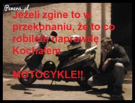 Gimbus i jego życie na skuterze