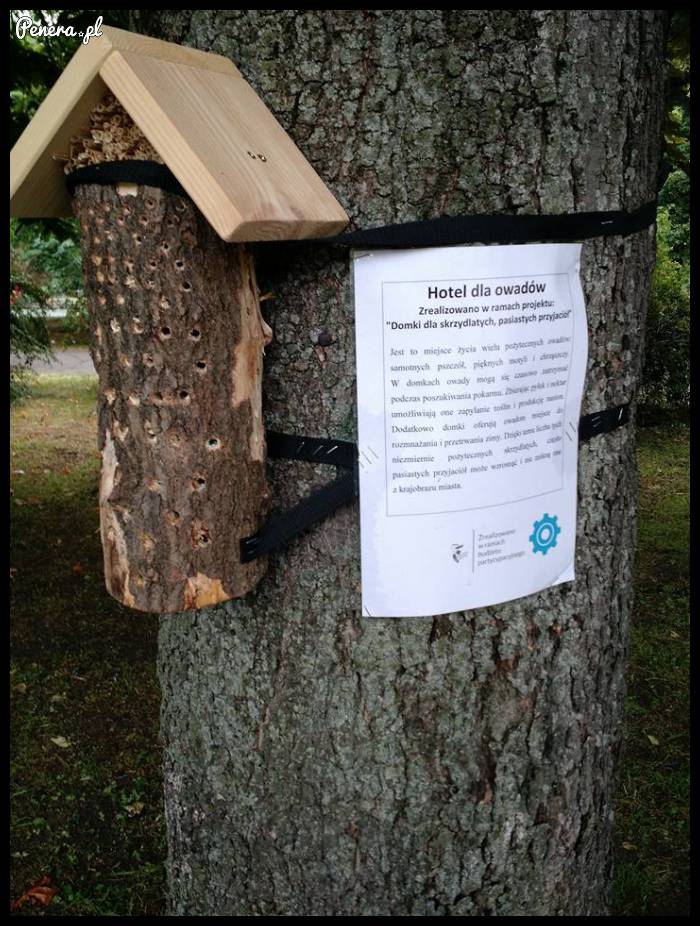 Hotel dla owadów!