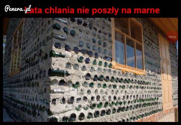 Lata chlania nie poszły na marne