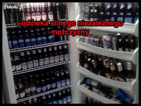 Lodówka silnego niezależnego mężczyzny