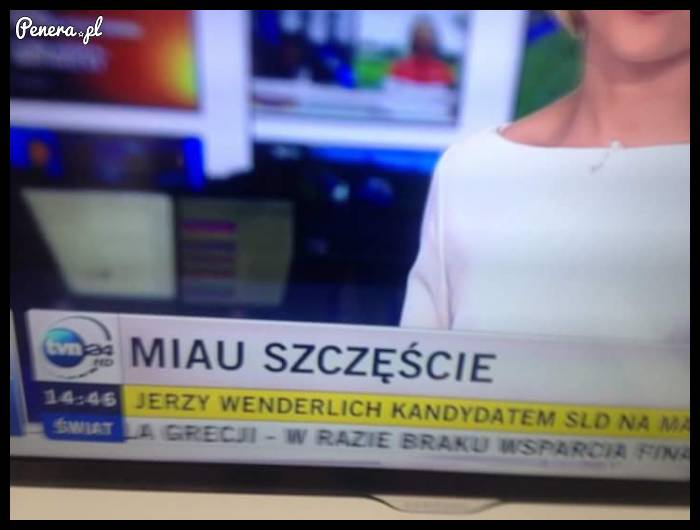 Miau szczęście