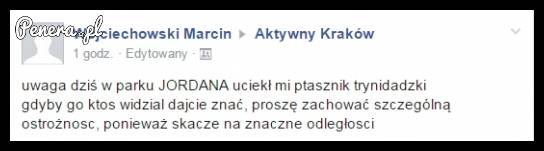 Miłych spacerków w parku