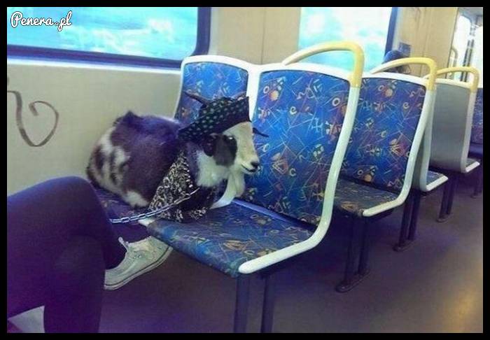 Na spacer z koleżanką