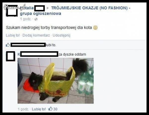 Niedroga torba transportowa dla kotka ;)