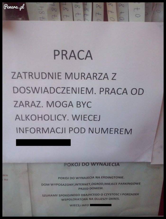 Nietypowe ogłoszenie o pracę