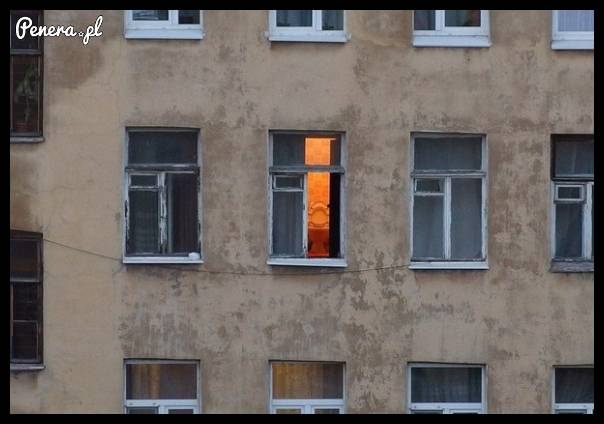 Piękny widok z okna