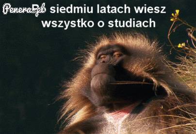 Po siedmiu latach na studiach