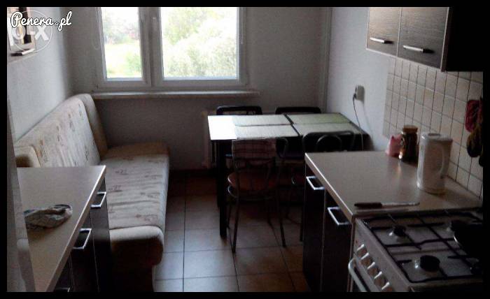 Pokój w kuchni do wynajęcia