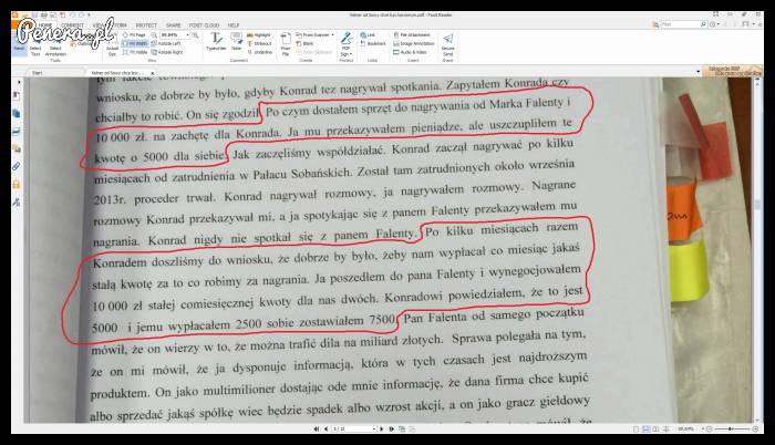 Polska cebula w najlepszym wydaniu