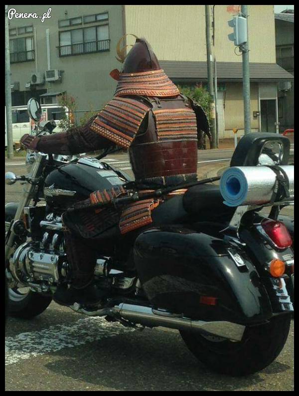 Prawdziwy wojownik szos