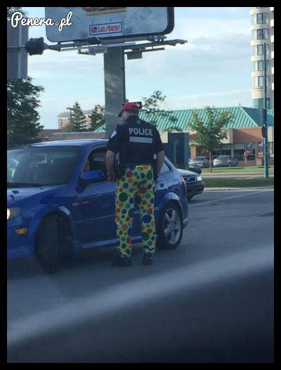 Służbowe spodnie policjanta :D