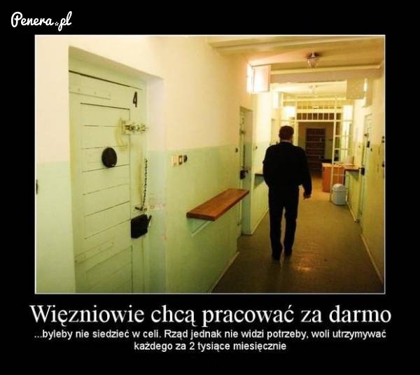Więźniowie chcieliby pracować nawet za darmo